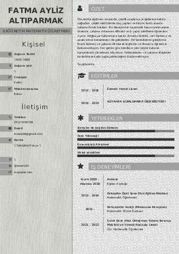Matematik Öğretmeni Cv Örnekleri cv indir